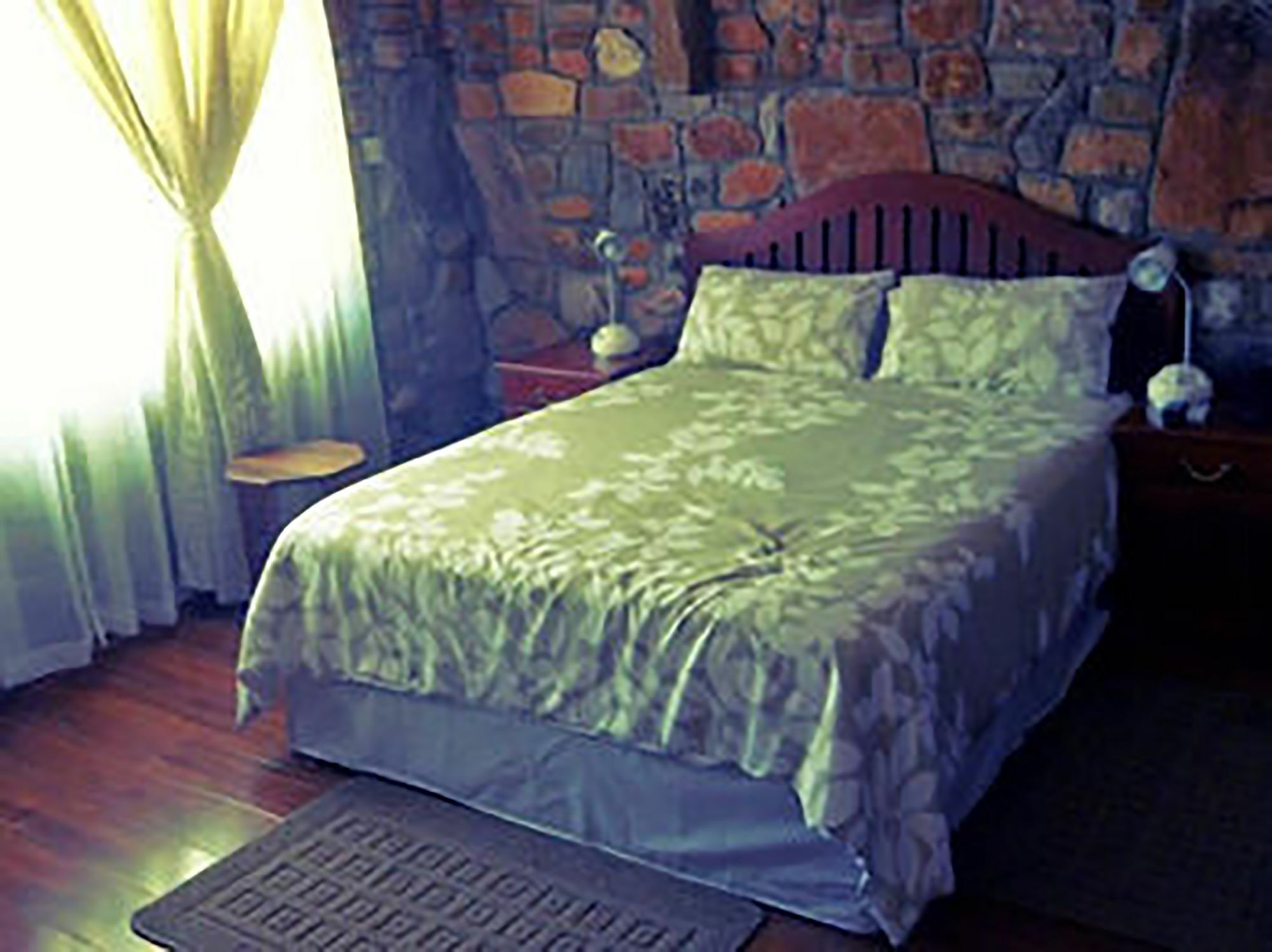 A New Earth Guest Lodge فرانسیستوون المظهر الخارجي الصورة