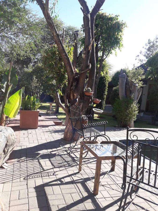 A New Earth Guest Lodge فرانسیستوون المظهر الخارجي الصورة